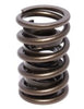 Comp Cams 925-16 Dual Valve Springs, up to 0.665” valve lift, 395 lbs./in. spring rate, 111 lbs. seat pressure, damper included, sold as a set of 16