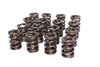 Comp Cams 26089-16 Dual Valve Springs, up to 0.710” valve lift, 500 lbs./in. spring rate, 230 lbs. seat pressure, sold as a set of 16
