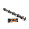 Howards Cams 112691-06 SBC Oval Track .450 Lift Rule Hydraulic Flat Tappet Camshaft, 55-98 262-400, 2500-6600 RPM, .450/.450 Lift, 231/231 Duration @ .050"