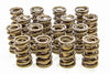 Isky Racing Cams 9985RAD RAD-9000 Tool Room Valve Springs, for racing use, dual spring w/ damper, 1.560” OD, up to 0.700” valve lift, sold as a set of 16