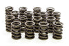 Isky Racing Cams 8005SP High Endurance Valve Springs, dual spring, includes damper, 1.530” OD, up to 0.650” valve lift, sold as a set of 16