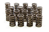Isky Racing 205D Valve Springs, for street/strip use, single spring, includes damper, 1.260” OD, up to 0.490” valve lift, sold as a set of 16